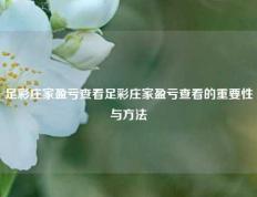 足彩庄家盈亏查看足彩庄家盈亏查看的重要性与方法