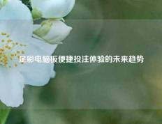足彩电脑板便捷投注体验的未来趋势