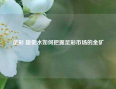 足彩 超低水如何把握足彩市场的金矿