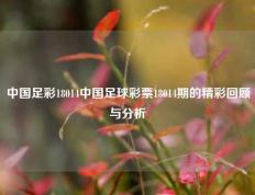 中国足彩18014中国足球彩票18014期的精彩回顾与分析