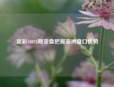 足彩18021期亚盘把握亚洲盘口优势