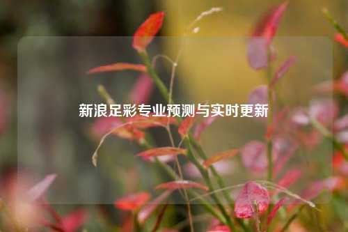 新浪足彩专业预测与实时更新