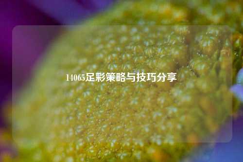 14065足彩策略与技巧分享