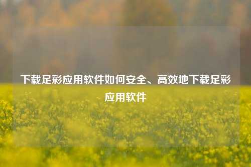 下载足彩应用软件如何安全、高效地下载足彩应用软件