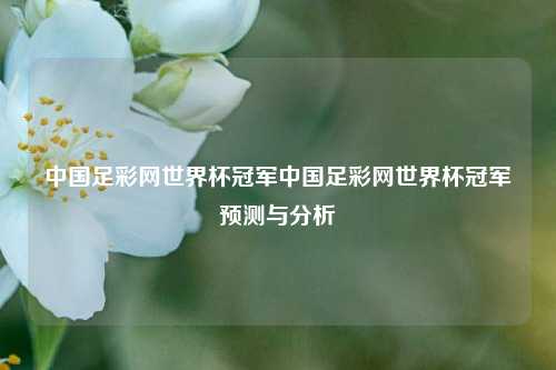 中国足彩网世界杯冠军中国足彩网世界杯冠军预测与分析