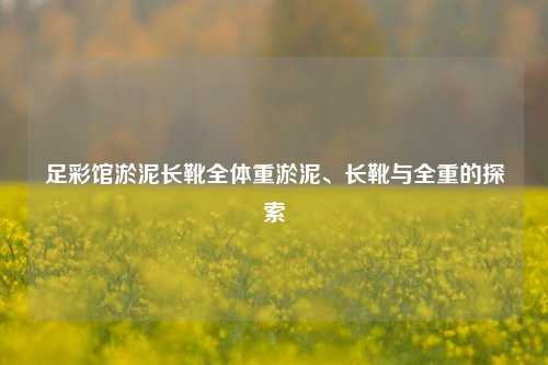 足彩馆淤泥长靴全体重淤泥、长靴与全重的探索