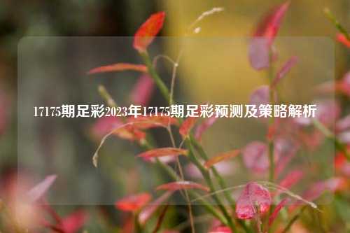 17175期足彩2023年17175期足彩预测及策略解析