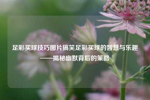 足彩买球技巧图片搞笑足彩买球的智慧与乐趣——揭秘幽默背后的策略