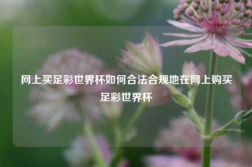 网上买足彩世界杯如何合法合规地在网上购买足彩世界杯