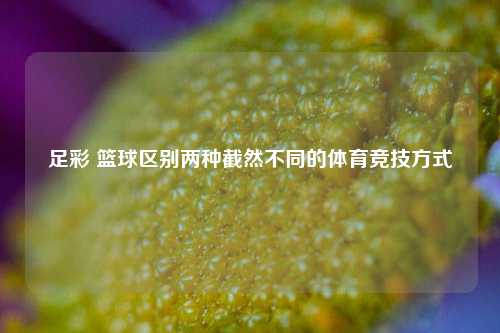 足彩 篮球区别两种截然不同的体育竞技方式