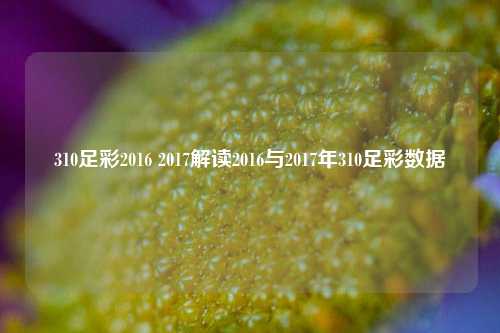 310足彩2016 2017解读2016与2017年310足彩数据
