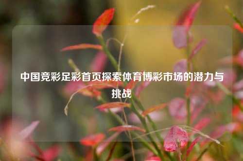 中国竞彩足彩首页探索体育博彩市场的潜力与挑战