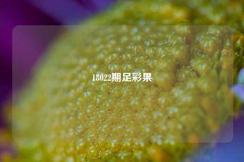 18022期足彩果