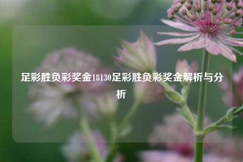 足彩胜负彩奖金18130足彩胜负彩奖金解析与分析