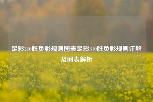 足彩310胜负彩规则图表足彩310胜负彩规则详解及图表解析