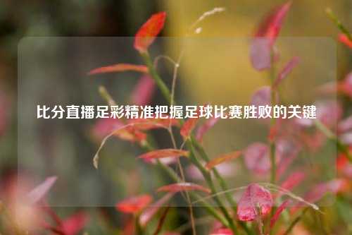 比分直播足彩精准把握足球比赛胜败的关键