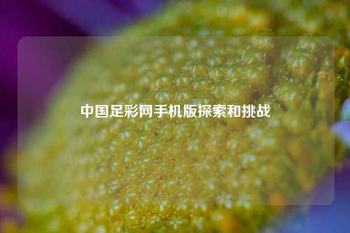 中国足彩网手机版探索和挑战