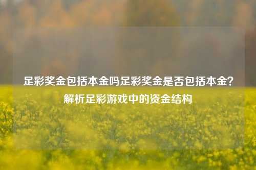 足彩奖金包括本金吗足彩奖金是否包括本金？解析足彩游戏中的资金结构