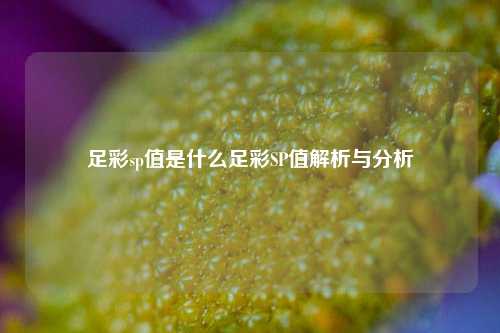 足彩sp值是什么足彩SP值解析与分析
