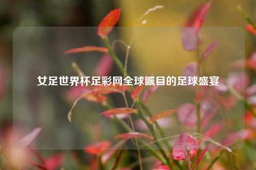 女足世界杯足彩网全球瞩目的足球盛宴