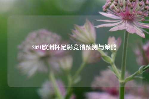 2021欧洲杯足彩竞猜预测与策略