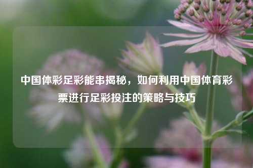 中国体彩足彩能串揭秘，如何利用中国体育彩票进行足彩投注的策略与技巧