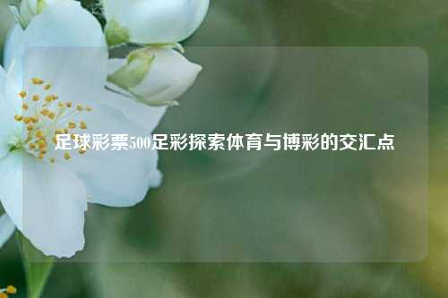 足球彩票500足彩探索体育与博彩的交汇点