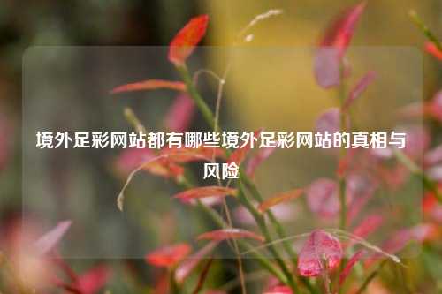 境外足彩网站都有哪些境外足彩网站的真相与风险