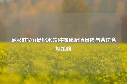 足彩胜负14场缩水软件揭秘赌博风险与合法合规策略