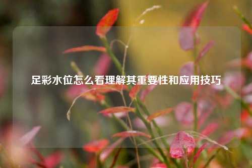 足彩水位怎么看理解其重要性和应用技巧