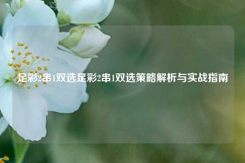 足彩2串1双选足彩2串1双选策略解析与实战指南