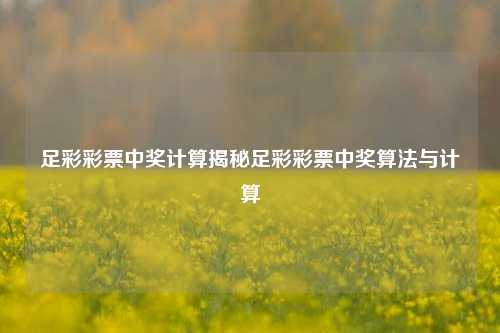 足彩彩票中奖计算揭秘足彩彩票中奖算法与计算