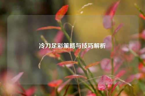 冷刀足彩策略与技巧解析