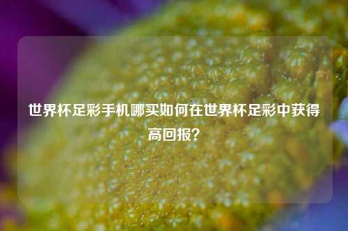 世界杯足彩手机哪买如何在世界杯足彩中获得高回报？