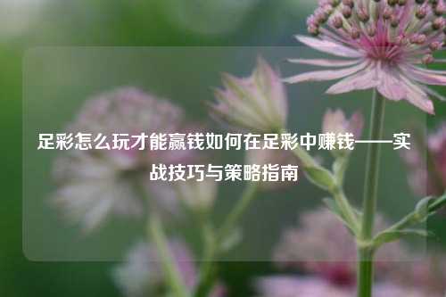 足彩怎么玩才能赢钱如何在足彩中赚钱——实战技巧与策略指南