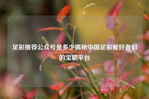 足彩推荐公众号是多少揭秘中国足彩爱好者们的宝藏平台
