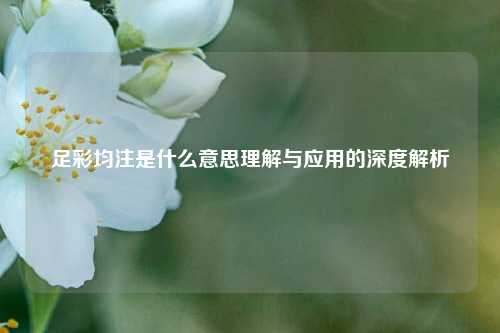 足彩均注是什么意思理解与应用的深度解析