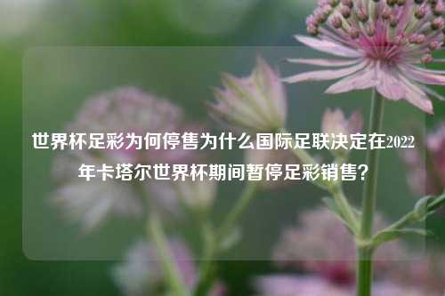 世界杯足彩为何停售为什么国际足联决定在2022年卡塔尔世界杯期间暂停足彩销售？