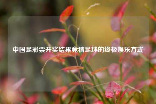 中国足彩票开奖结果竞猜足球的终极娱乐方式